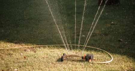 Allarme siccità: ecco come puoi salvare il giardino
