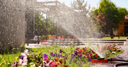 Boom di irrigatori nonostante la carenza d'acqua
