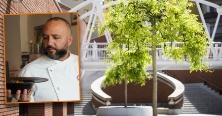 Le strappano la borsa mentre chiudevano il ristorante: «Non se ne può più»