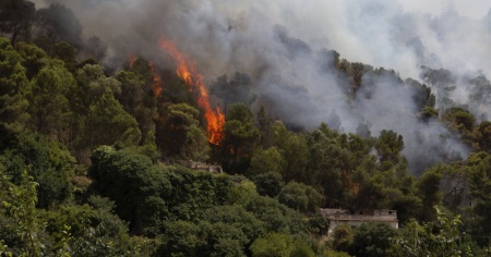 Alta tensione in Sicilia: gli incendi si moltiplicano su tutta l'isola