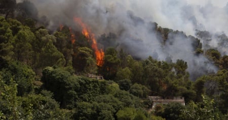 Alta tensione in Sicilia: gli incendi si moltiplicano su tutta l'isola