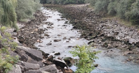 Moria di pesci nel fiume Albula