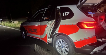 Ubriaca urta l’auto della polizia mentre gli agenti soccorrono un gatto ferito