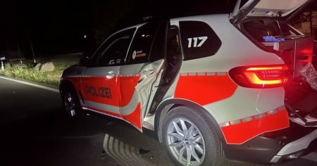 Ubriaca urta l’auto della polizia mentre gli agenti soccorrono un gatto ferito