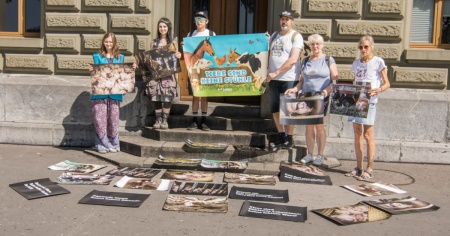 Quasi 20mila firme per rivedere la legge sulla protezione degli animali