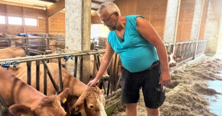 «Costretti a macellare le nostre vacche»
