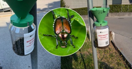 La canicola potrebbe colpire anche loro