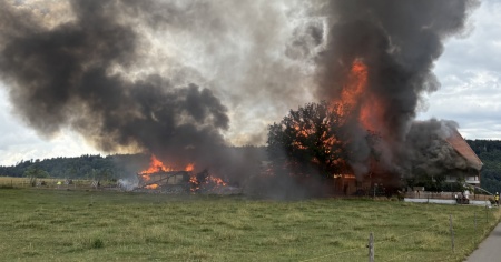 Stalla devastata dalle fiamme: muoiono mucche e maiali