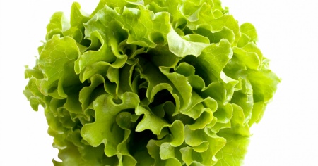 Ondata di diarrea, sospetti sull'insalata