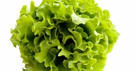Ondata di diarrea, sospetti sull'insalata