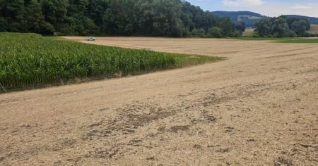 La donna trovata senza testa e arti in un campo è stata identificata