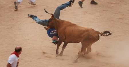 I tori ne incornano almeno tre