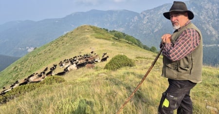 "Custodi tra le vette", per una sana coesistenza tra allevamento e turismo