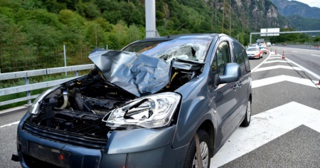 Due muli investiti sulla A2