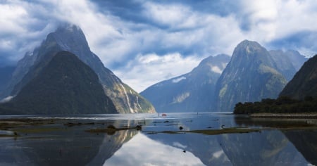 Allerta tsunami dopo un terremoto nel sud della Nuova Zelanda