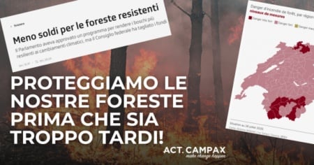 50’000 firme in appena tre giorni per la protezione delle foreste. Albert Rösti deve fare un passo indietro