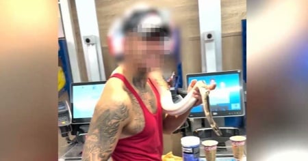 A far la spesa alla Lidl...con il pitone