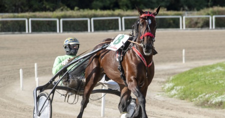Addio a Varenne, il cavallo più titolato di sempre