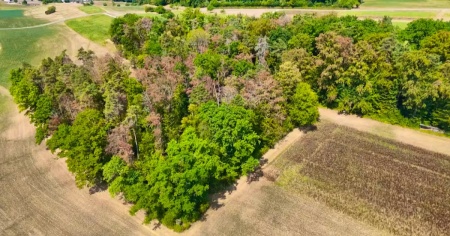 Se l'autunno fa capolino già ad agosto