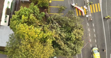 Albero abbattuto dal maltempo colpisce un bambino