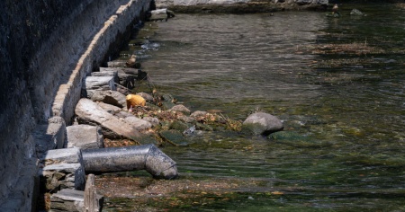 «Nessuna estate a 50°C!»: un'alleanza chiede più protezione dal caldo
