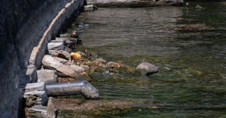 «Nessuna estate a 50°C!»: un'alleanza chiede più protezione dal caldo