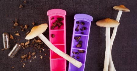 "Funghi allucinogeni": cosa succede davvero nel cervello?