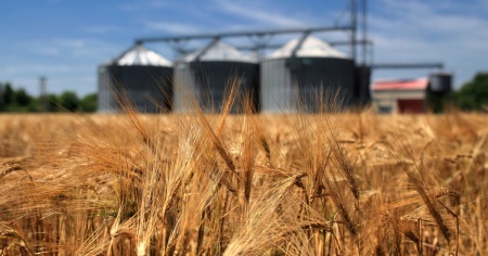 Allarme sui raccolti estivi, con il caldo giù del 14%