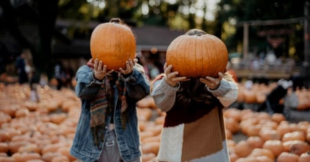 Fuori di zucca, ecco il primo villaggio delle zucche in Ticino
