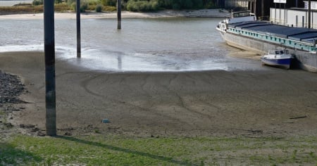 Il Reno senza più acqua: allarme rosso per l'economia svizzera