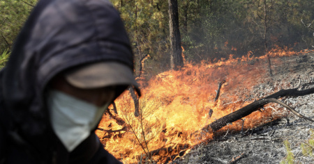 Incendi boschivi in Algeria, almeno 69 morti