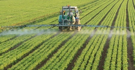 Le organizzazioni ambientaliste dicono no all'iniziativa sull'alimentazione