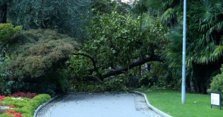 La siccità che "spezza" i rami: «Non state sotto gli alberi»