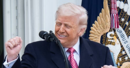 Sala da ballo alla Casa Bianca, Trump può proseguire i lavori