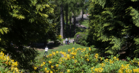 1,4 milioni per il Parco San Grato di Carona