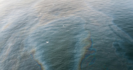 Una fuoriuscita di petrolio minaccia una riserva naturale