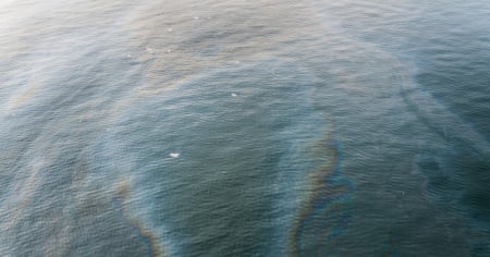 Una fuoriuscita di petrolio minaccia una riserva naturale