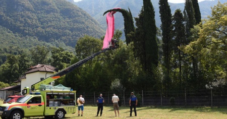 Sbaglia l’atterraggio e finisce su una pianta