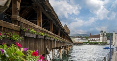 Falsi allarmi a raffica sul ponte di Lucerna: la colpa è di alcuni ragnetti