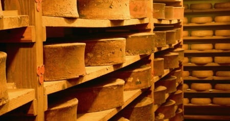 Canicola e siccità mettono a dura prova i produttori di formaggio