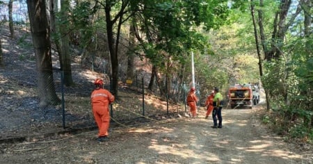 Rogo sul Monte Goi, s'indaga per incendio boschivo colposo