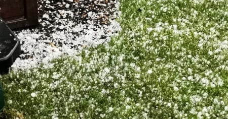 Siccità e grandine: oltre 1000 agricoltori hanno segnalato danni