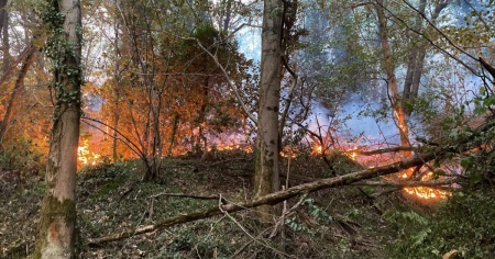 Sul monte devastato dalle fiamme, per un selfie
