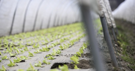 Siccità, Migros stanzia due milioni di franchi per gli agricoltori in difficoltà