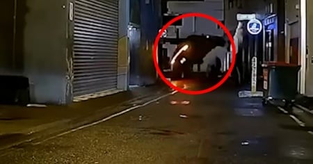 Tesla centra i dissuasori e si ribalta. Lo schianto ripreso dalla dashcam