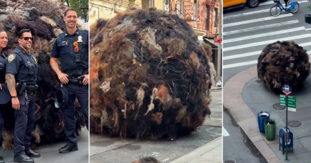 Una gigantesca palla di capelli umani alta tre metri rotola per New York