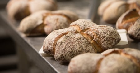 Pane e biscotti sotto la lente del Laboratorio cantonale. Ecco cosa è emerso