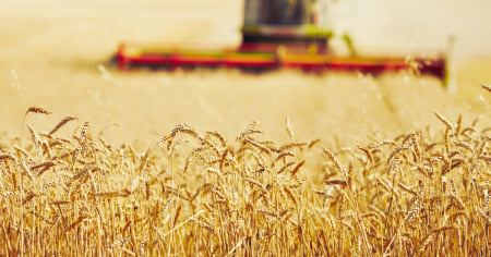 Politica agricola 2030: tagli per oltre 120 milioni