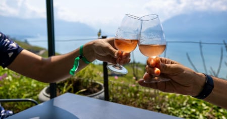 Vino zuccherato illegalmente, sanzionate due cantine