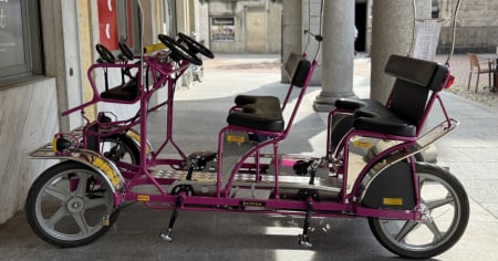 A spasso per Bellinzona... in risciò